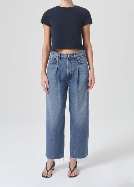 Agolde Dagna high rise pleat baggy Trap